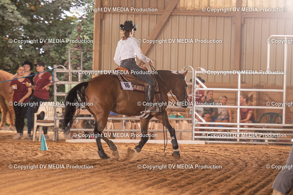 NID01197 | dv-media-shop - Realisiert mit Pictrs.com