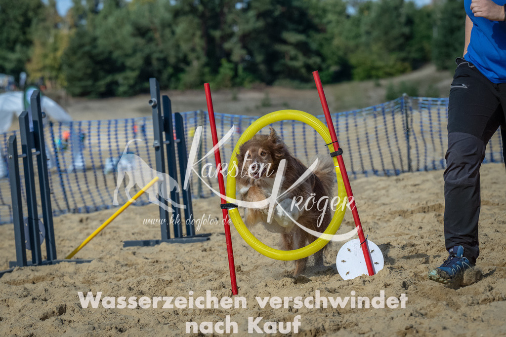 1213_ZZ92712-2-Bearbeitet | kk-dogfotos