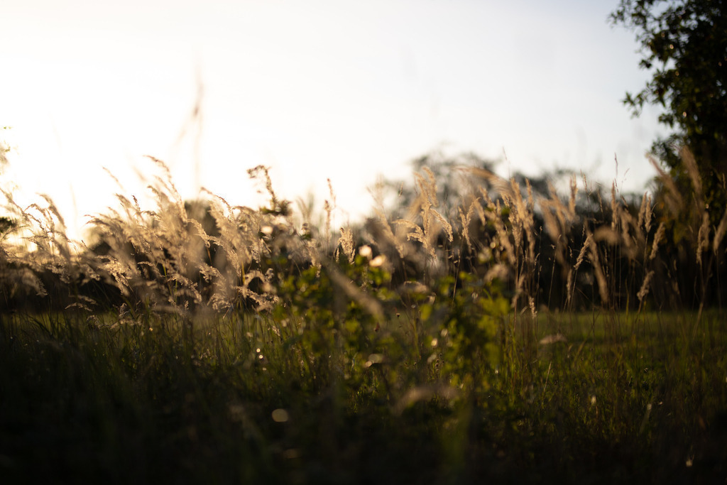 IMG_4775 | ehrlichefotos - Realisiert mit Pictrs.com