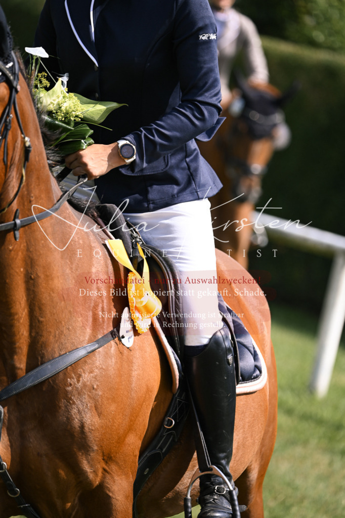 DSC_0723 | Pferde- und Turnierfotografie in Westsachsen. Pferdeportraits, Auftragszeichnungen und intuitive Kunst.