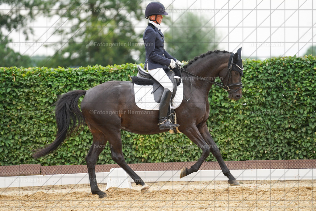 20240630-FAH00861 | Turnierbilder Schwabmünchen, Dressurbilder, Springreitturnier, Reitsportbilder, Turnierfotografen Bayern, Turnierfotograf