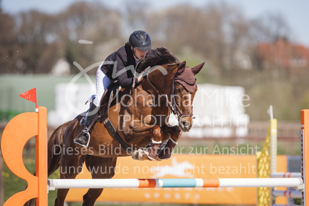 220416_4_L-Stil2-512 | Frühlingsfest der Pferde
Herford
16.April 2022
04/2 Stilspringprüfung Kl.L geschlossen 79-481 RLP