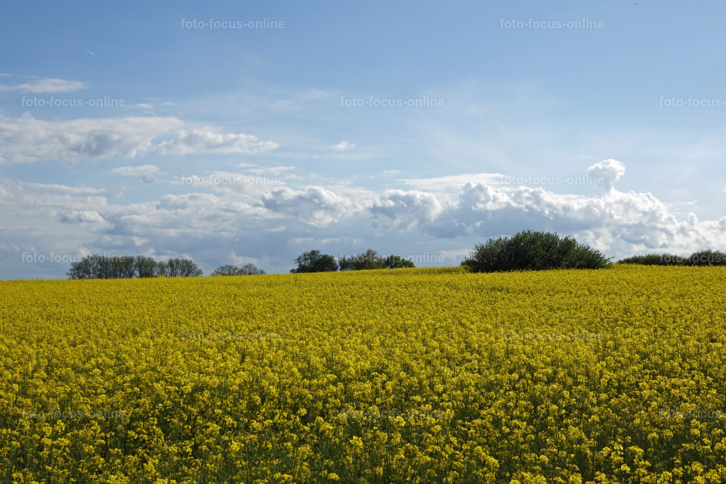 rapps-heute_14 | foto-focus-online