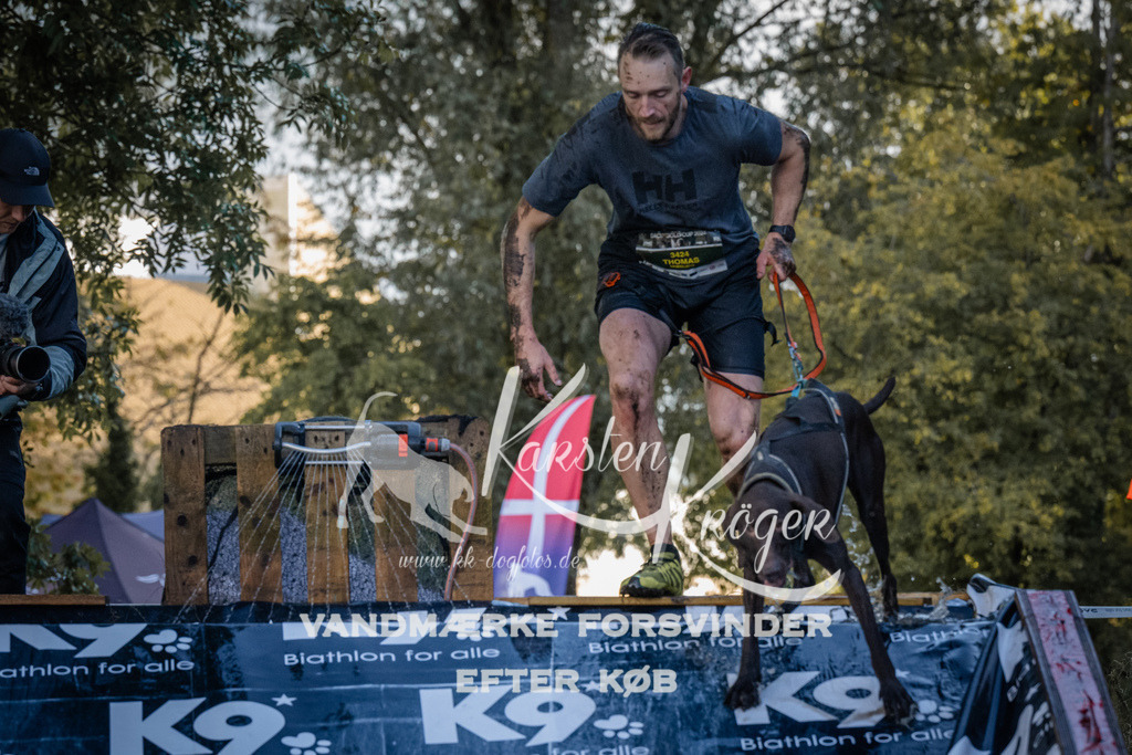 1511_ZZ94240 | kk-dogfotos