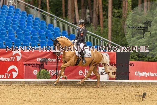 28-8-26 5j DRE-432 | mandyhollmannphotographie