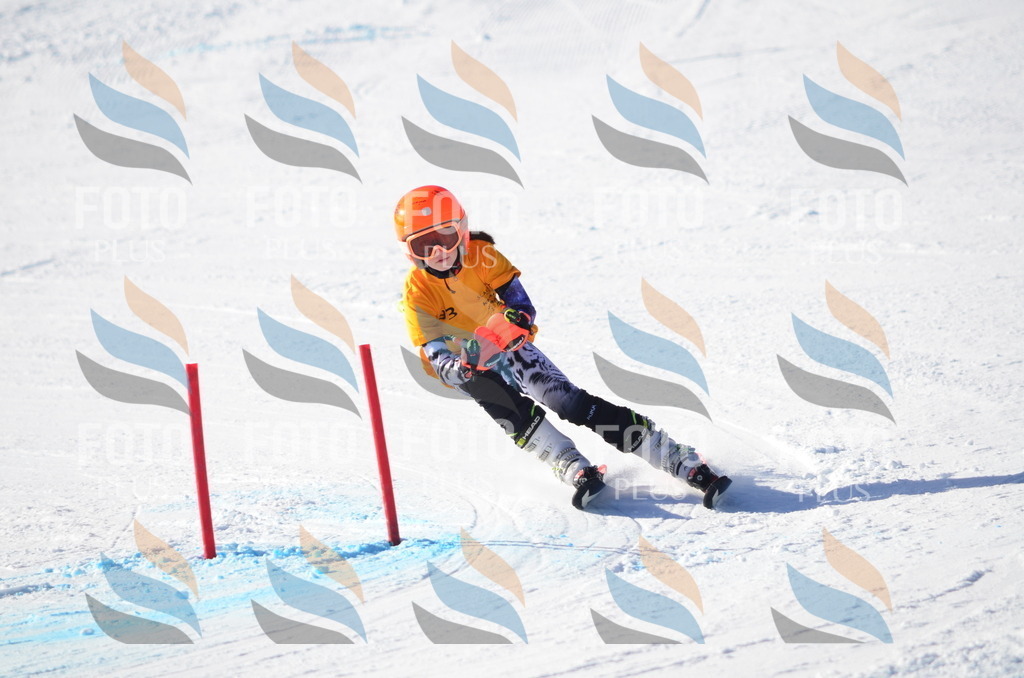 C6077 | holidayphoto