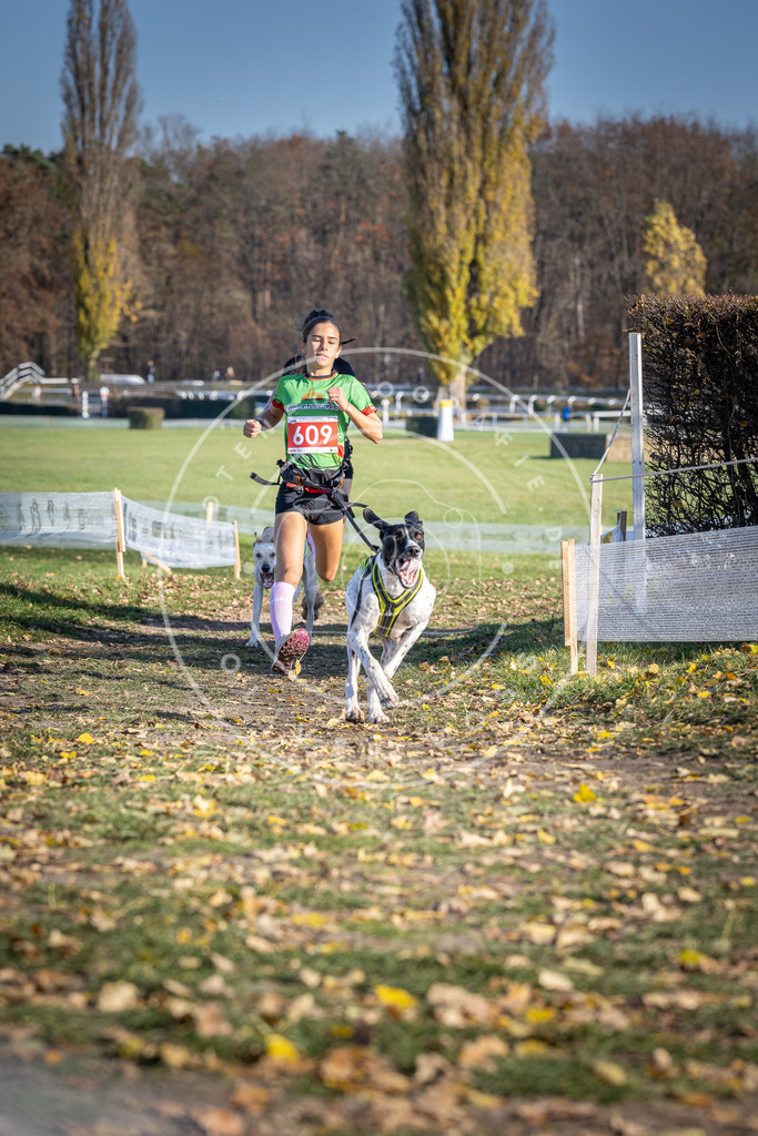 CaniXpix_DV3A9676 | Hundefotografie, Tierfotograf, Pfotenfotografie, Fotoshooting Hund, Hunde Portrait, Hundesport, Hundeportraits, Heideshooting, Hunde, Sportfotograf, Hundefotograf, Turnierhundsport, THS,  - Realisiert mit Pictrs.com