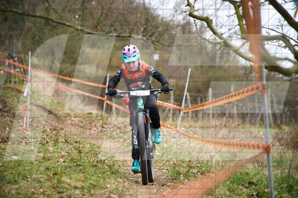 34. KTM Kamptal Trophy  | ZÖBING, Österreich – 2026-03-28: 34. KTM Kamptal TrophyFoto: © 2026 Martin Bihounek - MB Creative e.U.