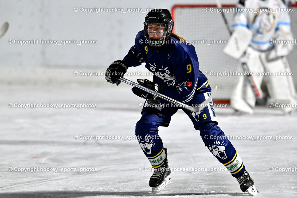 Wildcats Paternion vs. Unicorns Steindorf | #9 Neumann Magdalena WILDCATS PATERNION, Wildcats Paternion vs. Unicorns Steindorf, Wildcats Paternion vs. Unicorns Steindorf am 02.01.2026 in Paternion (Eislaufplatz Paternion), Austria, (Photo by Bernd Stefan)