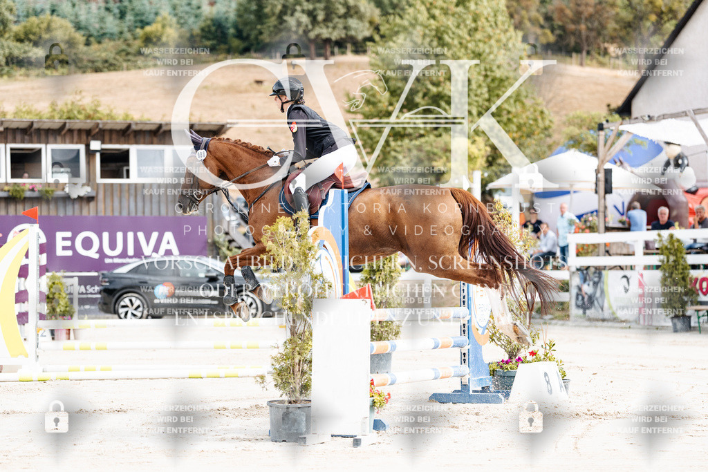 CK908877 | Turnierfotografie Pferdefotografie Trier Rheinland-Pfalz Pferdesport Reitsport Tierfotografie Sportfotografie Pferdevideo Pferdevideografie Equestrianvideography equestrianphotography  - Realisiert mit Pictrs.com