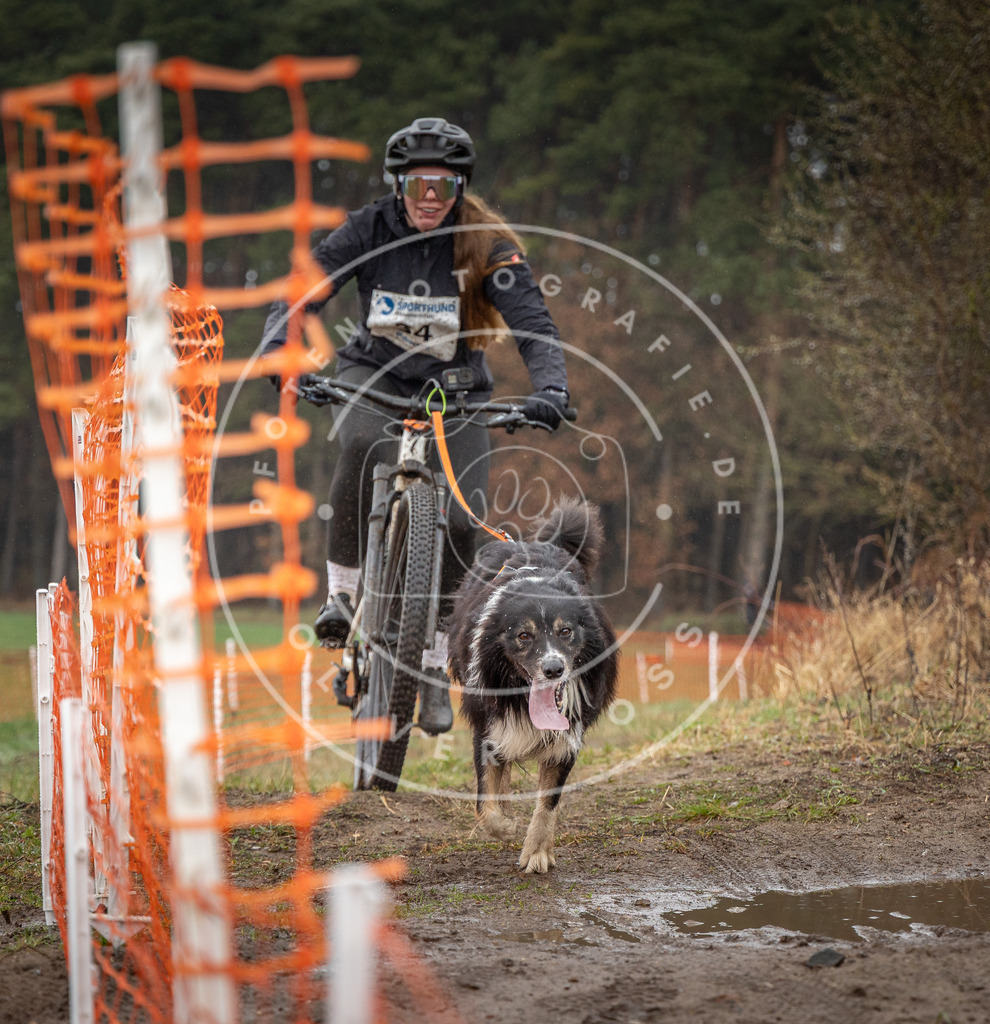0L8A9015 | Hundefotografie, Tierfotograf, Pfotenfotografie, Fotoshooting Hund, Hunde Portrait, Hundesport, Hundeportraits, Heideshooting, Hunde, Sportfotograf, Hundefotograf, Turnierhundsport, THS,  - Realisiert mit Pictrs.com