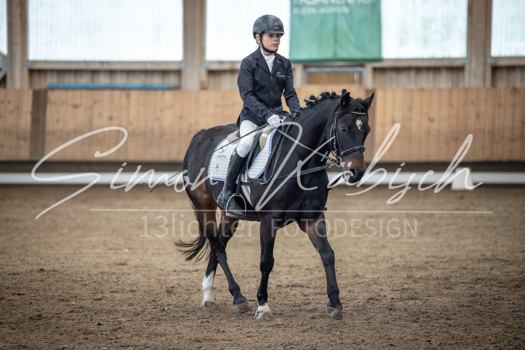 20251011-_3LI7943 | Tierfotografie Pferde, Hunde, Katzen, Haustiere.
Turnierfotografie Reitturniere, Reiten, Springreiten, Dressur in Hanau, dem Main-Kinzig-Kreis und dem Rhein-Main- Gebiet um Frankfurt