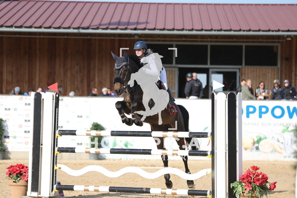0P6A2893 | Willkommen bei Brunnmayr - Design & Fotografie – Ihrem Spezialisten für Reitturniere und Pferdeveranstaltungen in Oberösterreich, Salzburg und Bayern! Seit über 17 Jahren sind wir leidenschaftlich dabei.