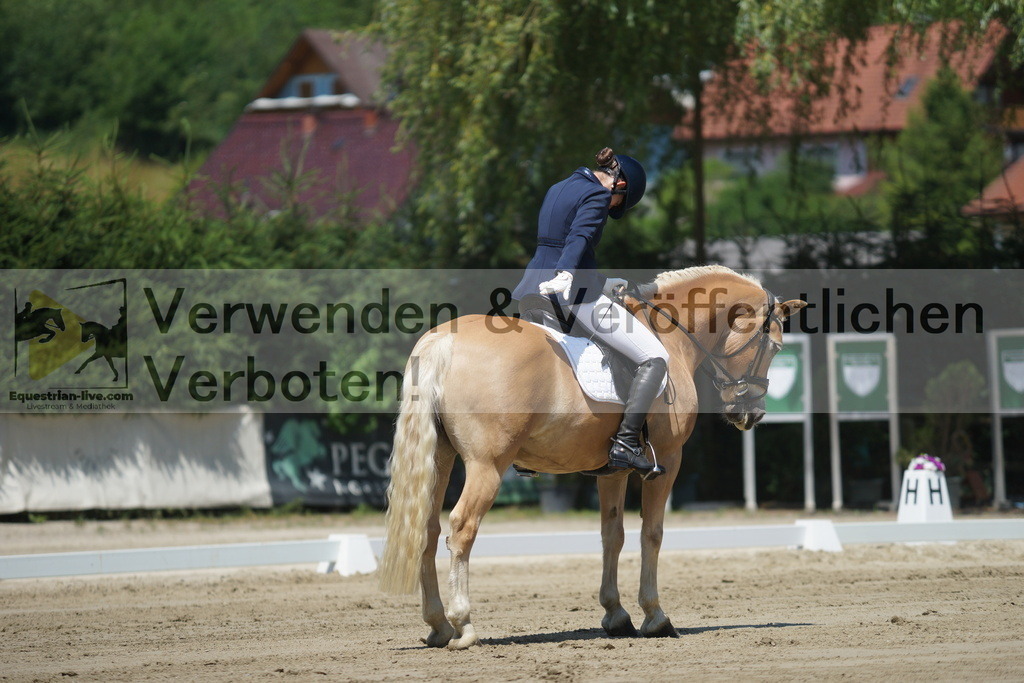 DSC03495 | equestrian-live-com