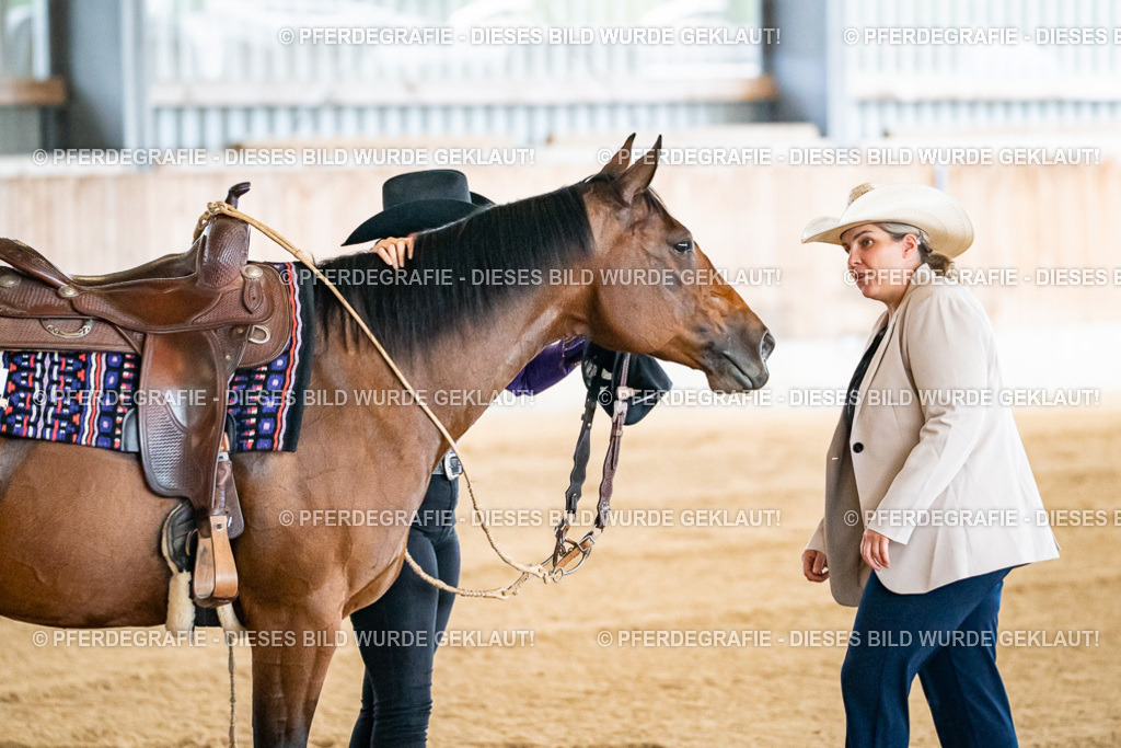 DSC06225 | Pferdegrafie