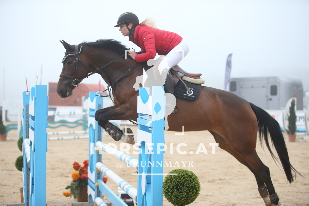 PP012536 | Willkommen bei Brunnmayr - Design & Fotografie – Ihrem Spezialisten für Reitturniere und Pferdeveranstaltungen in Oberösterreich, Salzburg und Bayern! Seit über 17 Jahren sind wir leidenschaftlich dabei.