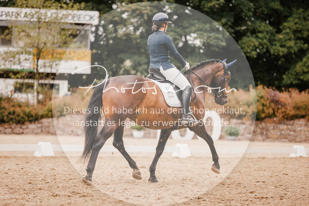 3I6A5967 | Stimmungsvolle Portraits und Reitsportfotografie im Ruhrgebiet und im Münsterland.

Pferdefotografie, Hundefotografie, Tierfotografie, Reportagen, Portraits von Tier und Mensch, Turnierfotografie in Bochum, Recklinghausen, Marl, Haltern am See, Dülmen.. - Realisiert mit Pictrs.com
