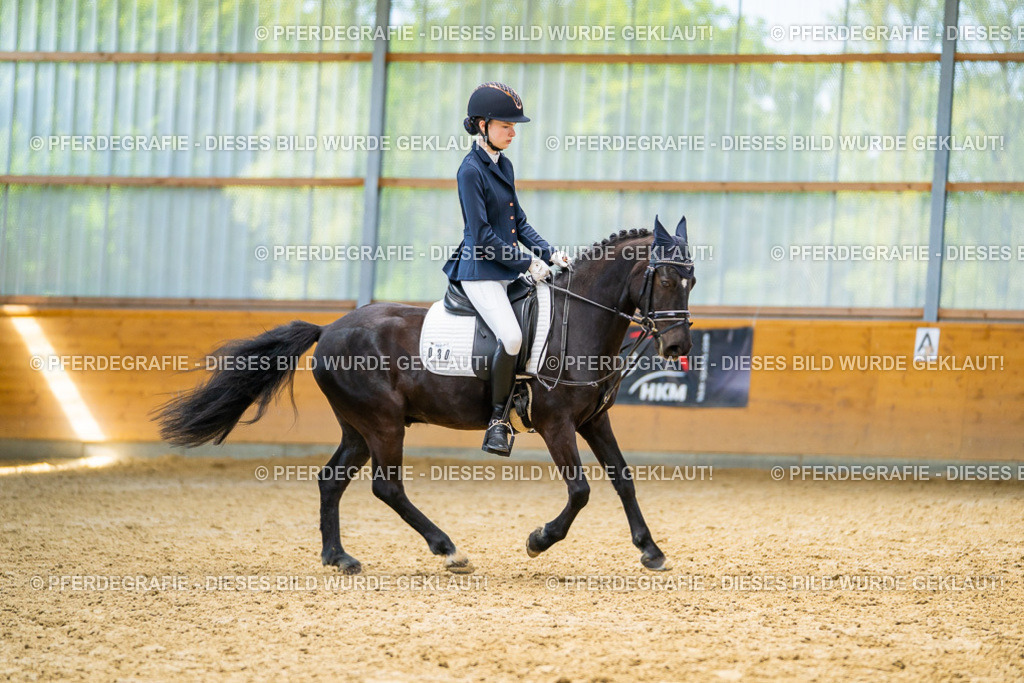 DSC08950 | Pferdegrafie