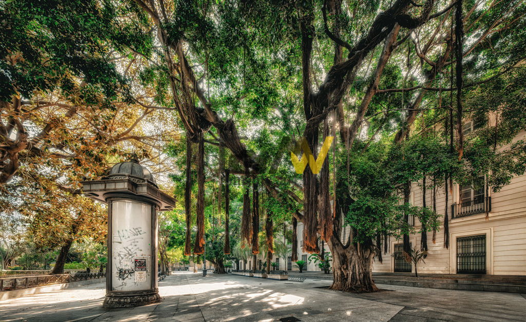 Traumhafter Einblick in einen Platz in der Altstadt von Cadiz | Hochauflösende und hochwertige Bilder und Fotos.Kommerzielle oder private Nutzung ✔ Bilder downloaden✔ Acryl ✔ Leinwand ✔ Poster ✔
 - Realisiert mit Pictrs.com