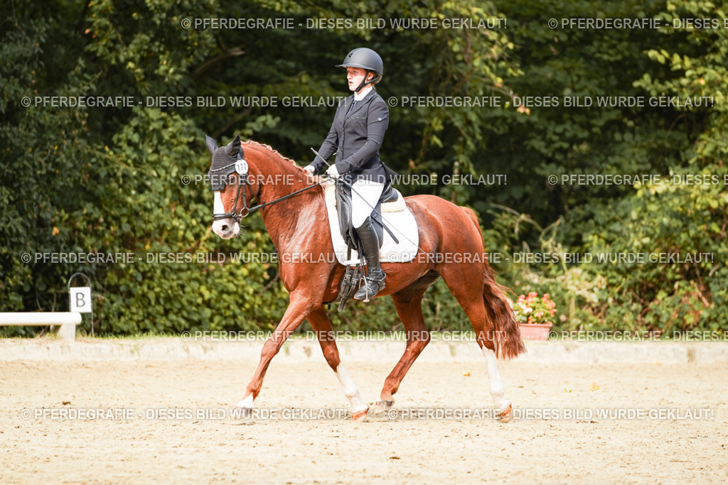 DSC03670 | Pferdegrafie