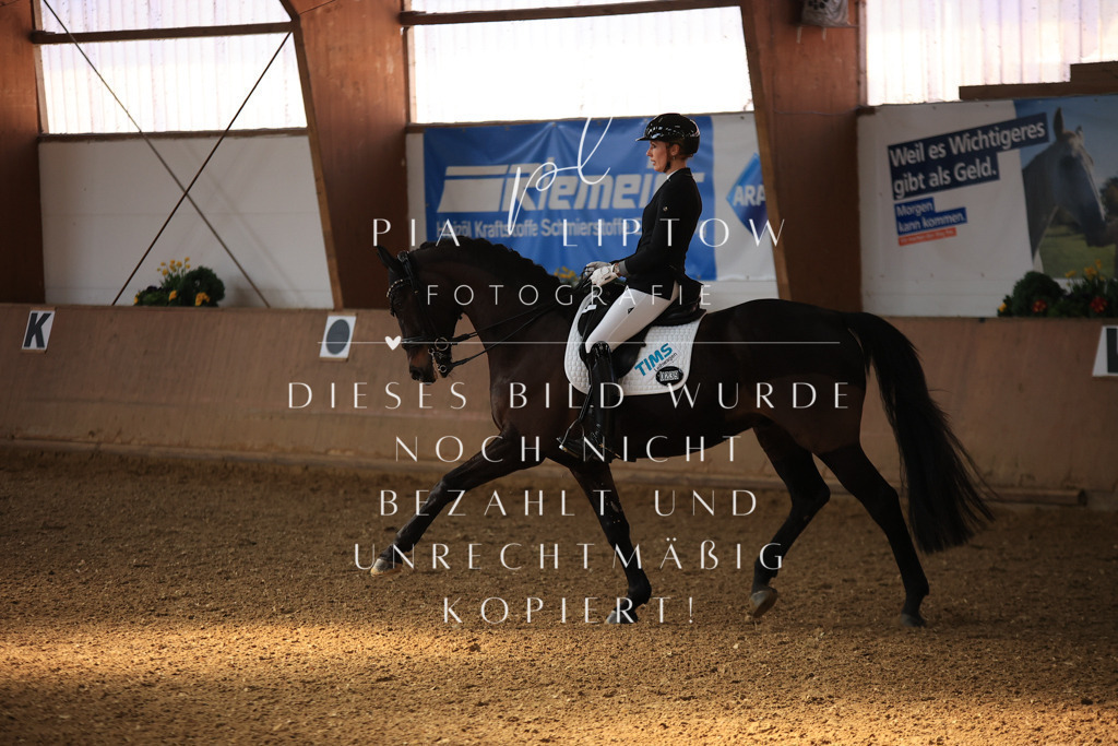 IMGT2401 | pl-fotografie