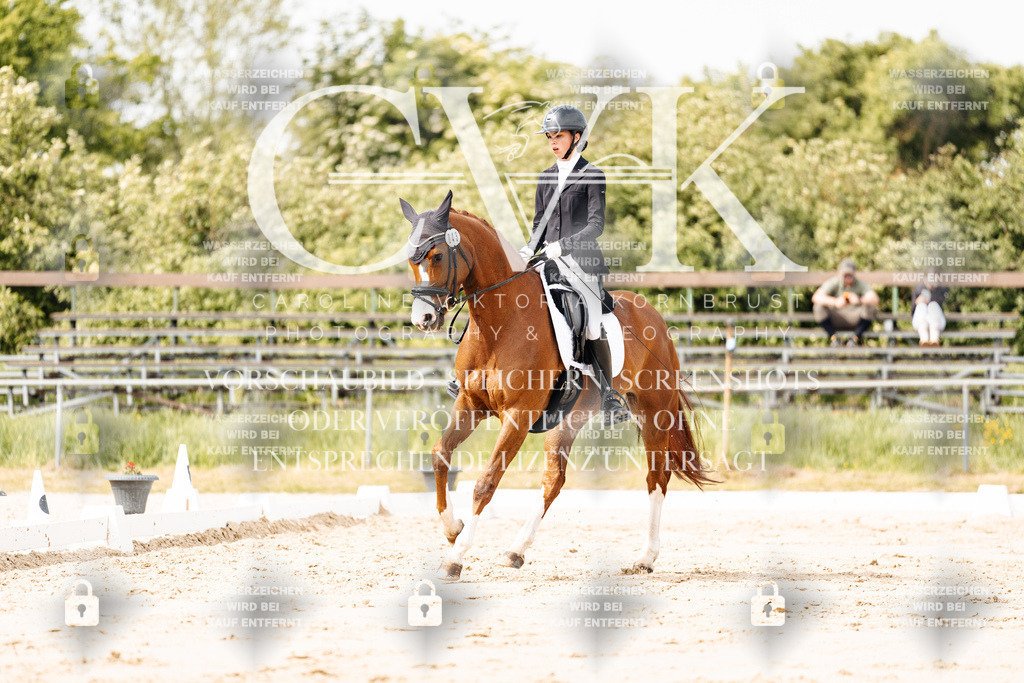CK901128 | Turnierfotografie Pferdefotografie Trier Rheinland-Pfalz Pferdesport Reitsport Tierfotografie Sportfotografie Pferdevideo Pferdevideografie Equestrianvideography equestrianphotography  - Realisiert mit Pictrs.com
