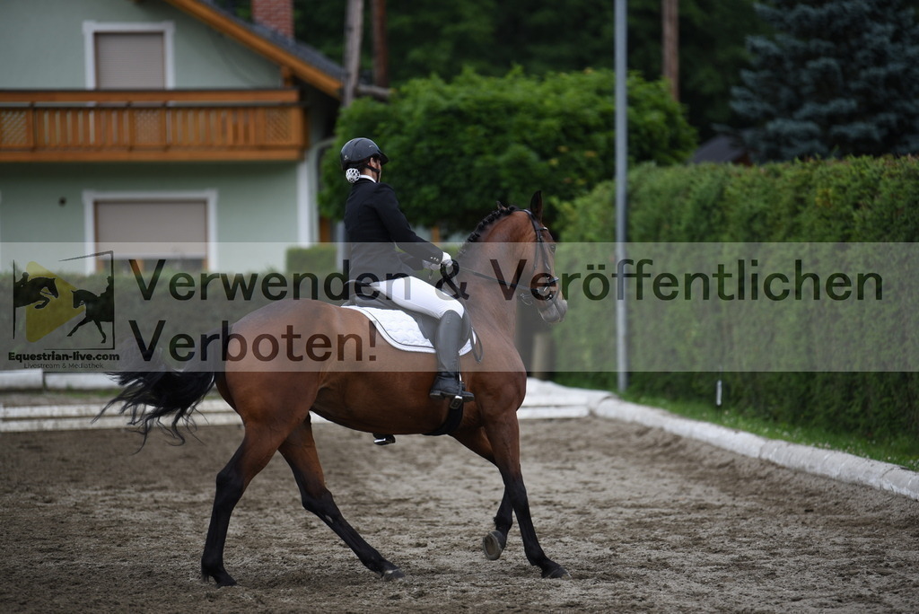 DSC_4788 | equestrian-live-com