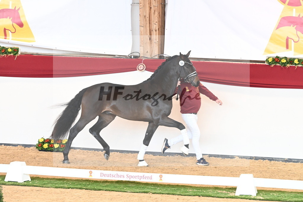 Kat.-Nr. 75 v. Vaderland_Schlamminger_2240779 | hf-fotografie - Realisiert mit Pictrs.com