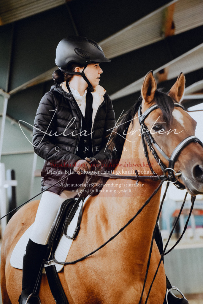 DSC_7269 | Pferde- und Turnierfotografie in Westsachsen. Pferdeportraits, Auftragszeichnungen und intuitive Kunst.