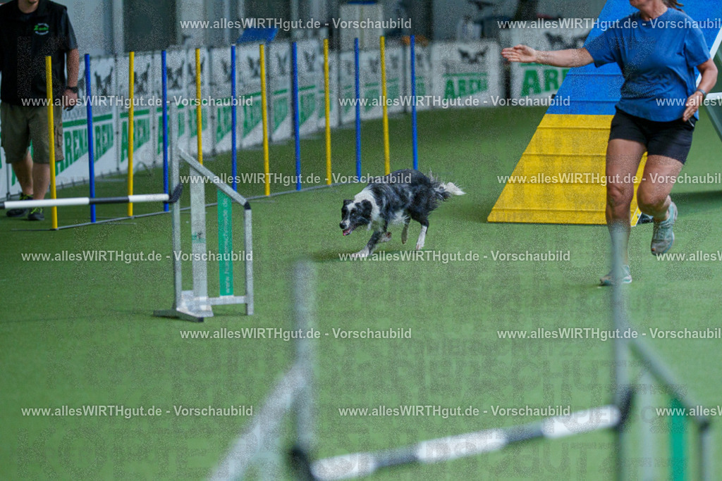 @allesWIRTHgut_Tierfotografie - www.allesWIRTHgut.de - 2604261524-7R505472 | Professionelle Tierfotografie in Mönchengladbach von Daniel Wirth (allesWIRTHgut). Liebevolle & natürliche Bilder von Hunden & Katzen für unvergessliche Erinnerungen.