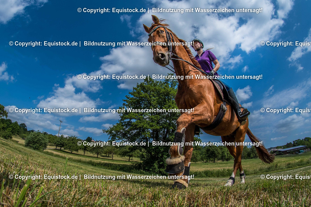 TS_20170624_Fisheye_Dressur_0002 1 | Foto: Thomas Hartig