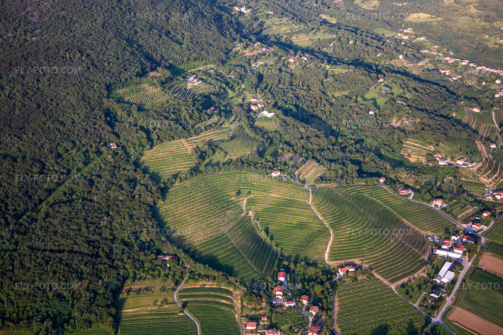 Aerial view: Vineyards in the district Kromberk in Nova Gorica in the state Slovenia, Slovenia.Photo: IMG_137542.jpg taken on 07/14/2023 by Werner Riehm/FLY-FOTO.comResolution of the original: 5472 x 3648 px