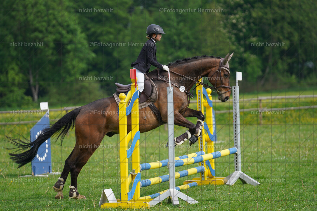 20240509-FAH02149 | Turnierbilder der Turnierfotografen Bayern, Pferdesport Fotografie, Reitsportbilder, Turnier Landberg am Lech, Turnierbilder bayern, Fotoagentur Herrmann