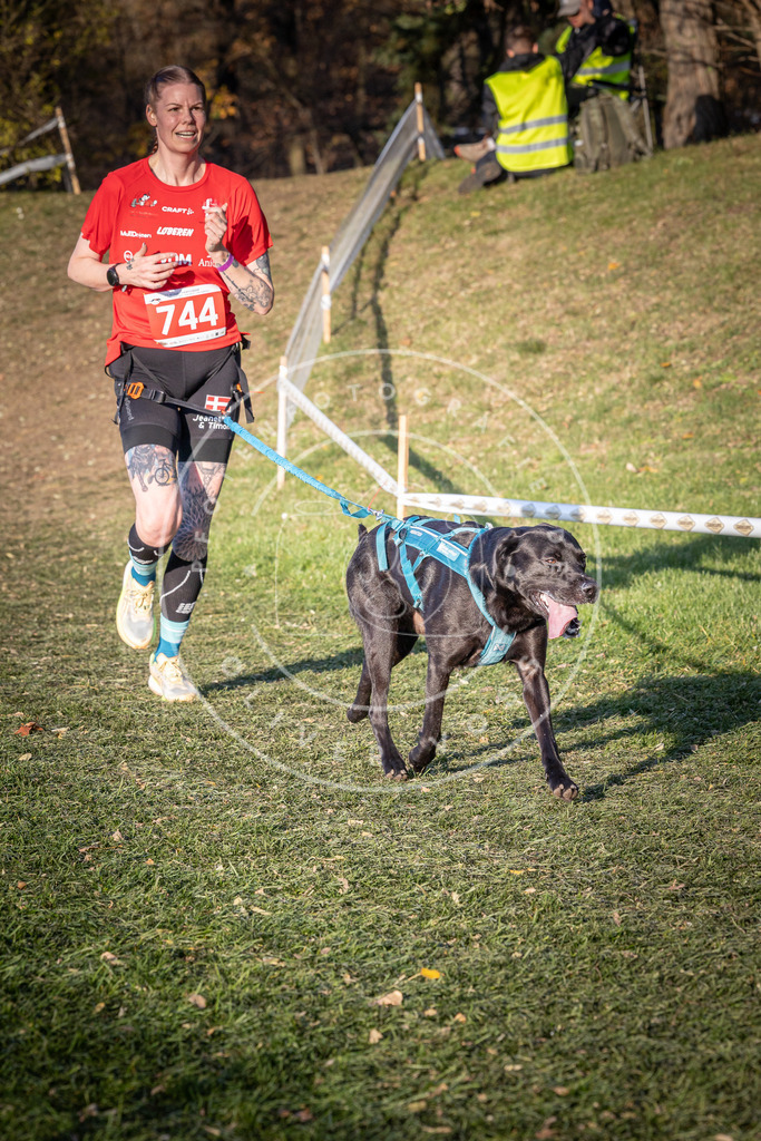 CaniXpix_0L8A9893 | Hundefotografie, Tierfotograf, Pfotenfotografie, Fotoshooting Hund, Hunde Portrait, Hundesport, Hundeportraits, Heideshooting, Hunde, Sportfotograf, Hundefotograf, Turnierhundsport, THS,  - Realisiert mit Pictrs.com