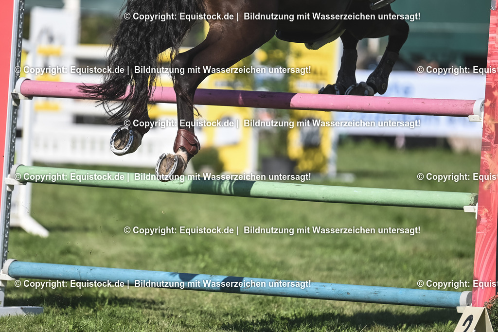 20230908_24_Springen_M_0050 | equistock