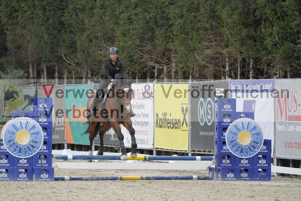 _MG_2886 | equestrian-live-com