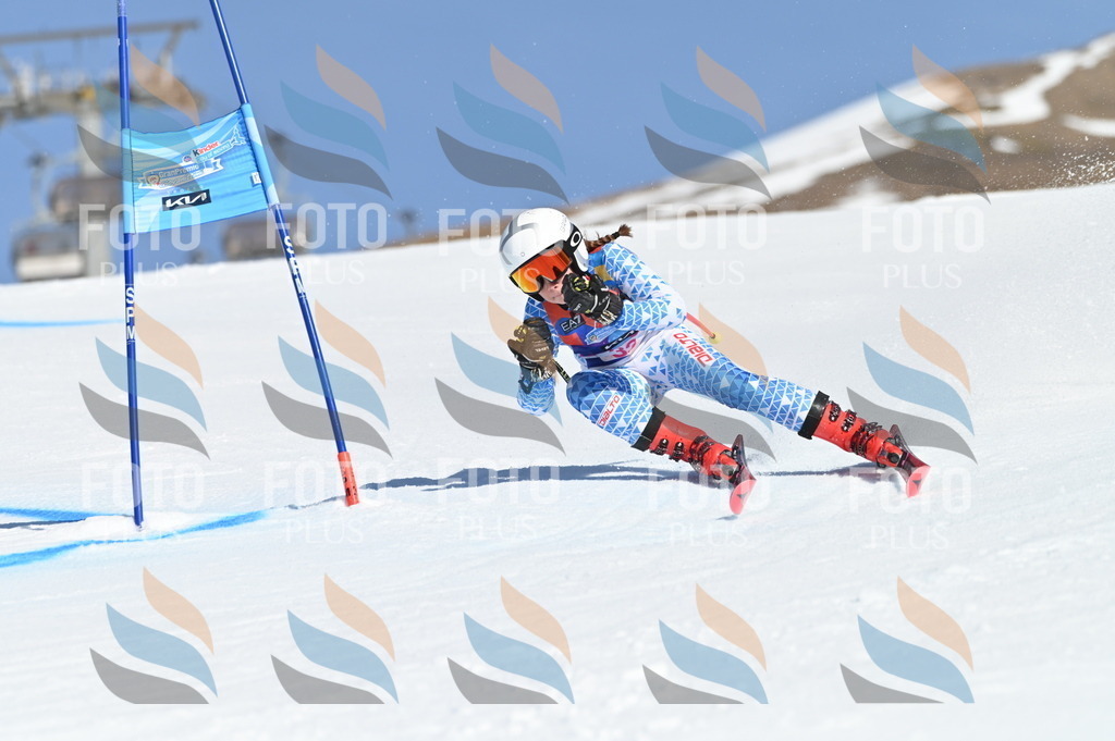 BGV_8199 | holidayphoto