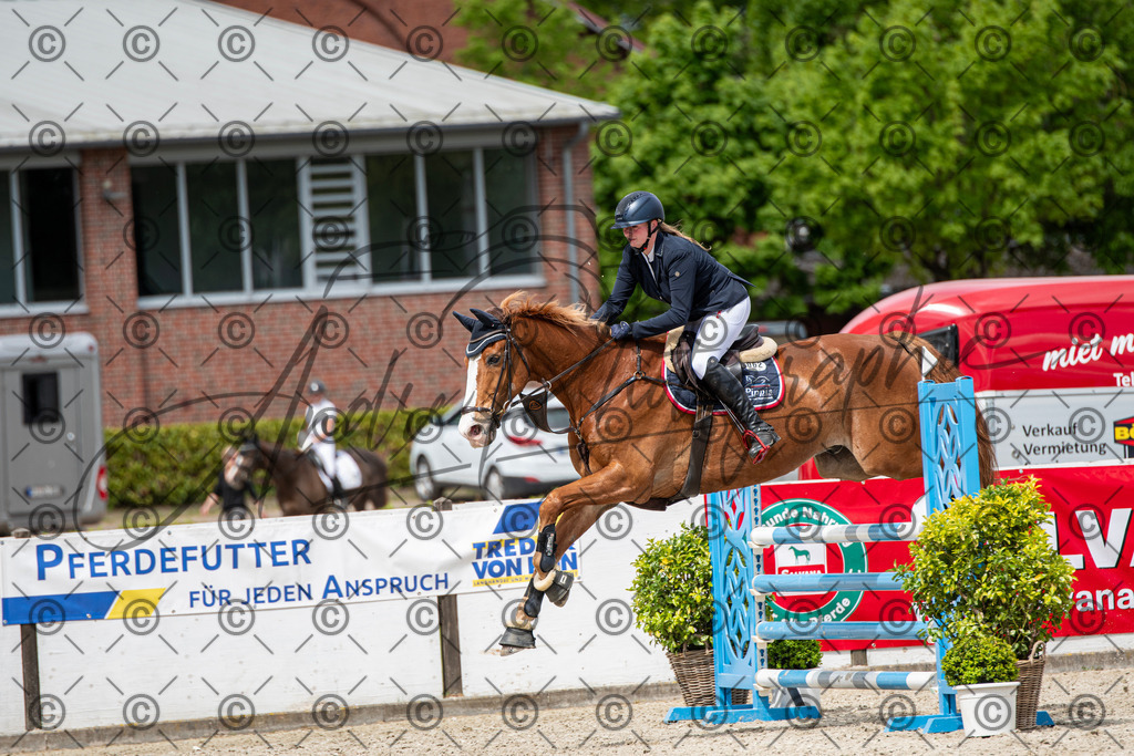 KPT_5811 | andre_photographic