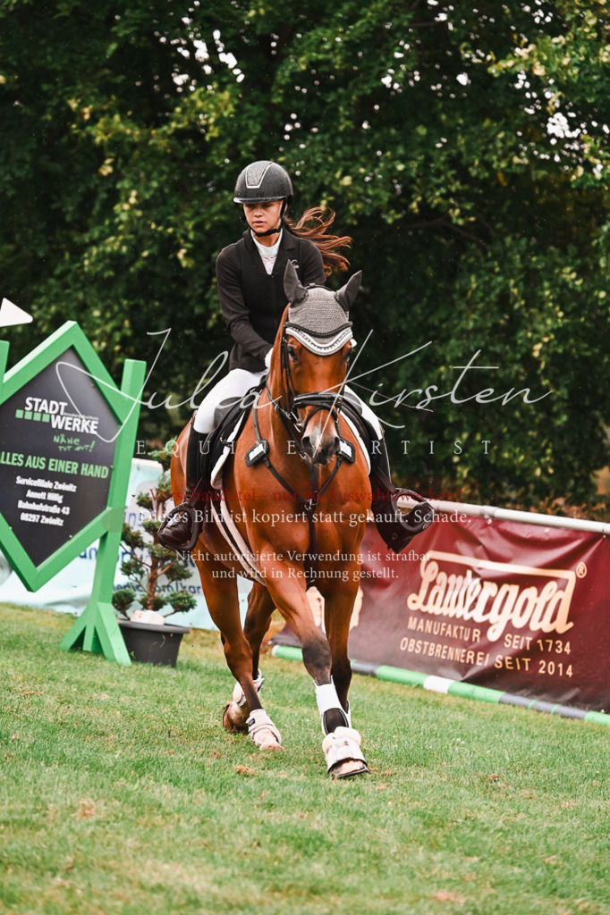 DSC_6650 | Pferde- und Turnierfotografie in Westsachsen. Pferdeportraits, Auftragszeichnungen und intuitive Kunst.