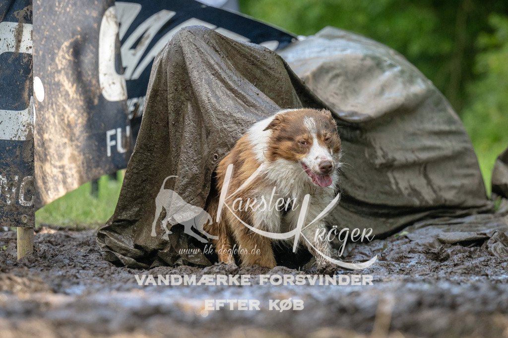 1513_ZZ91116 | kk-dogfotos