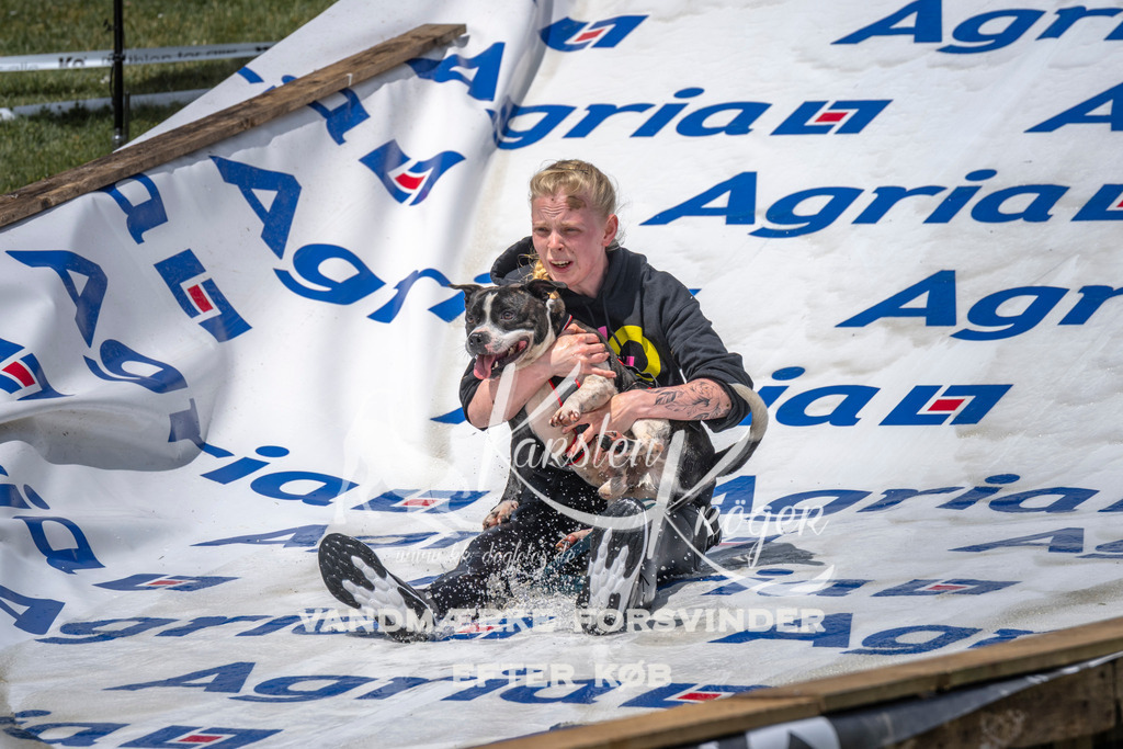 1159_ZZ94500 | kk-dogfotos