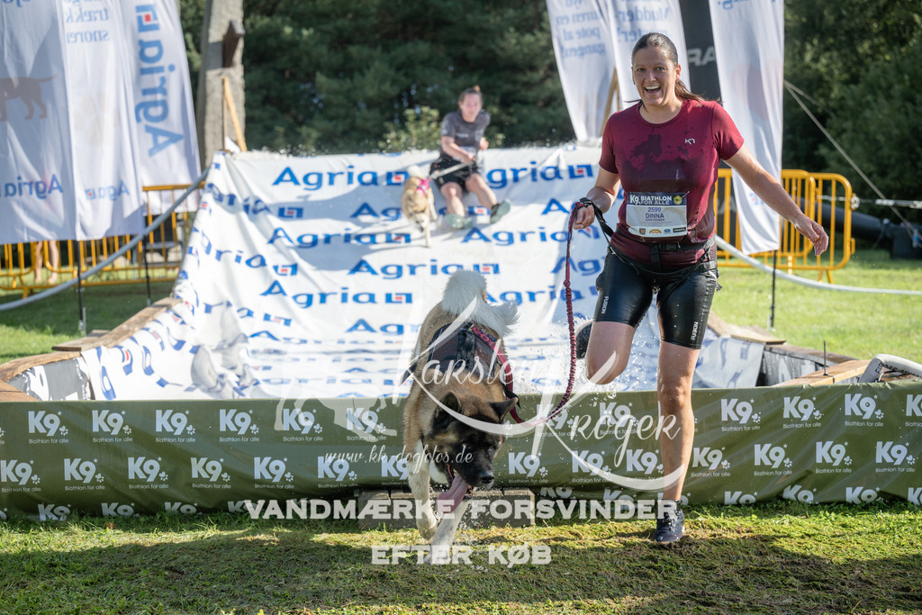 0954_ZZ97403 | kk-dogfotos