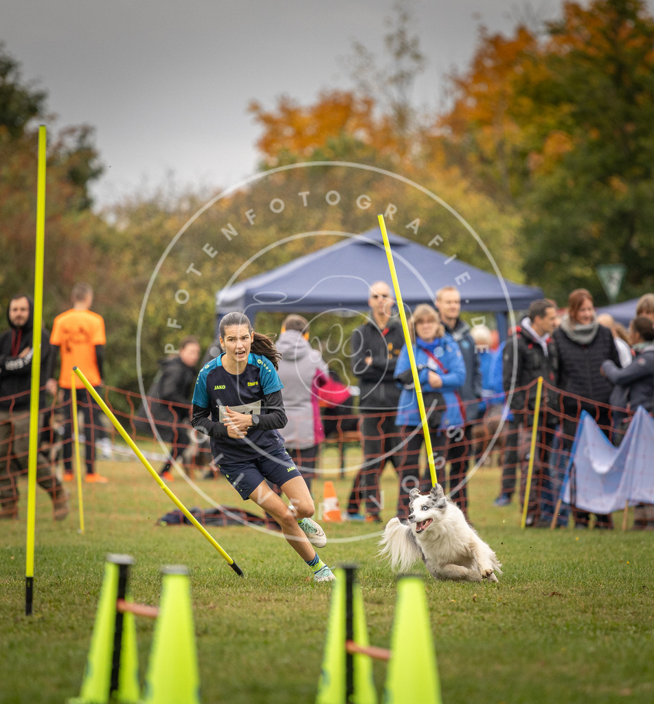 Pfotenfotografie_DV3A6366 | Hundefotografie, Tierfotograf, Pfotenfotografie, Fotoshooting Hund, Hunde Portrait, Hundesport, Hundeportraits, Heideshooting, Hunde, Sportfotograf, Hundefotograf, Turnierhundsport, THS,  - Realisiert mit Pictrs.com