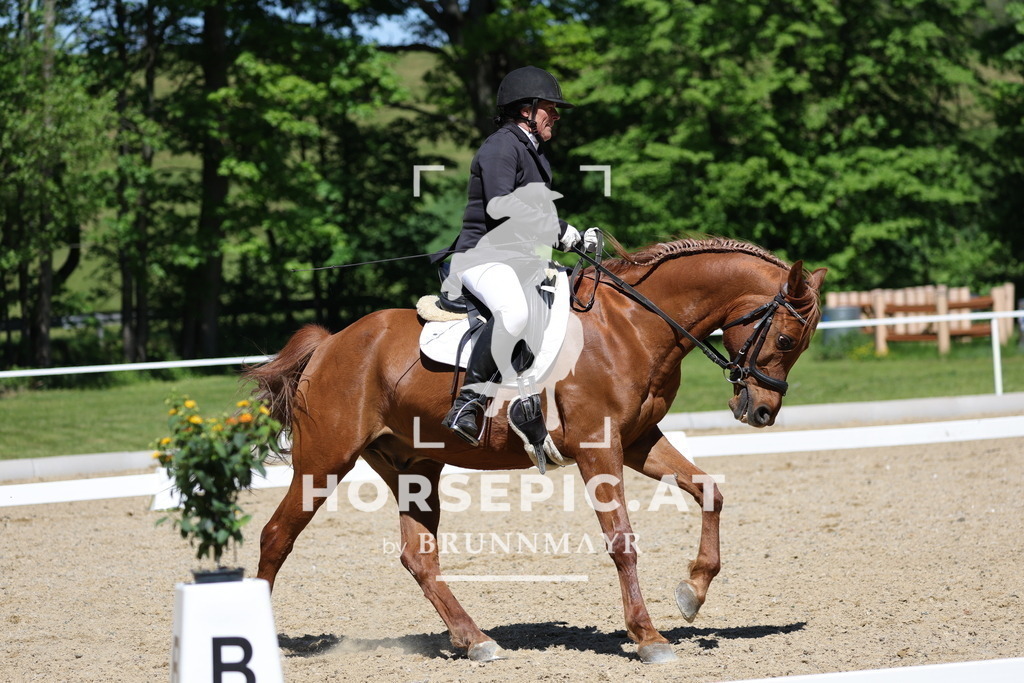 0P6A1186 | Willkommen bei Brunnmayr - Design & Fotografie – Ihrem Spezialisten für Reitturniere und Pferdeveranstaltungen in Oberösterreich, Salzburg und Bayern! Seit über 17 Jahren sind wir leidenschaftlich dabei.