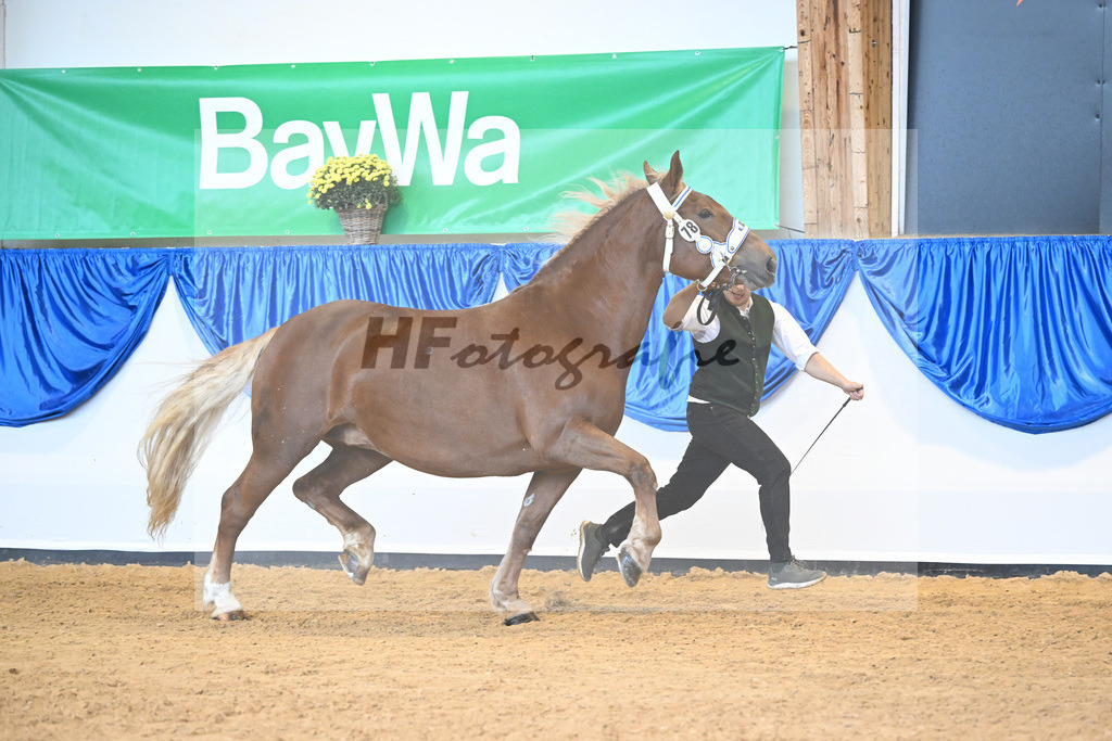 Kat-Nr. 78 Haquira_Bacher_53220380 | hf-fotografie - Realisiert mit Pictrs.com