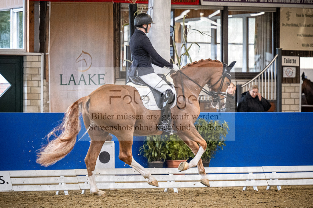 DOS_0595 | Entdecke hochwertige Reitturnierfotos von Foto Oger. Professionell, emotional und authentisch – jetzt Lieblingsmomente im Shop bestellen.Deutschlandweite Turnierfotografie. - Realisiert mit Pictrs.com
