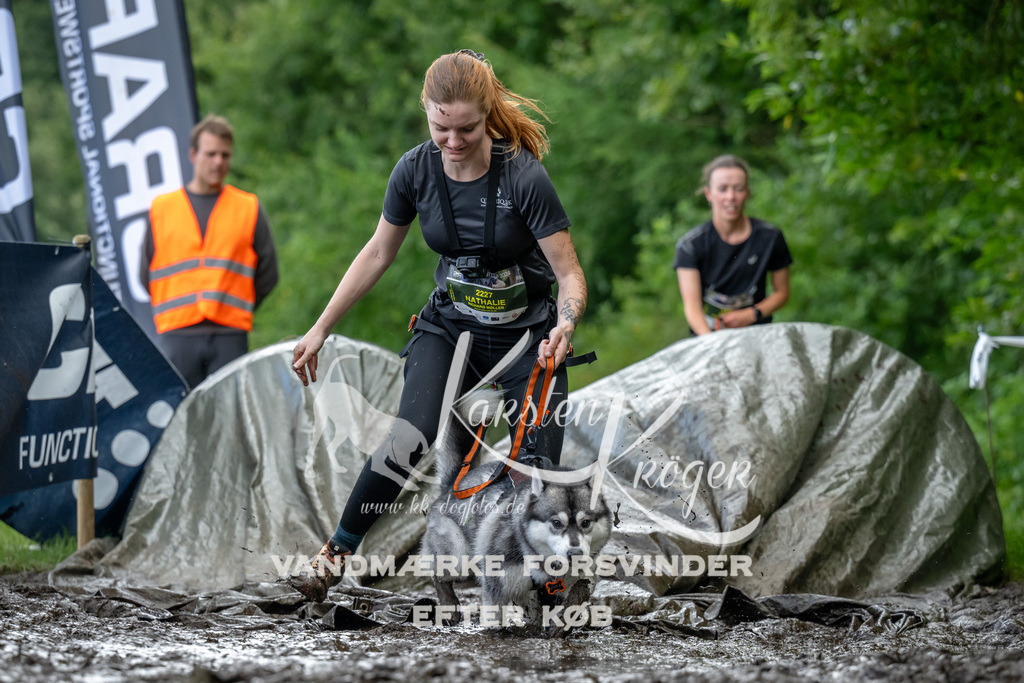 1156_ZZ90467 | kk-dogfotos