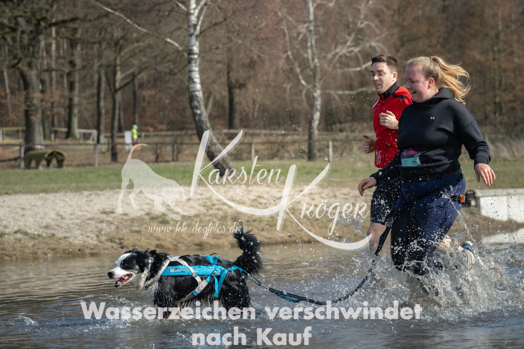 1329_ZZ96511 | kk-dogfotos