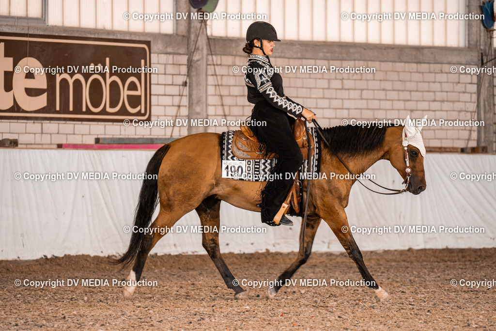 ZH200319 | dv-media-shop - Realisiert mit Pictrs.com