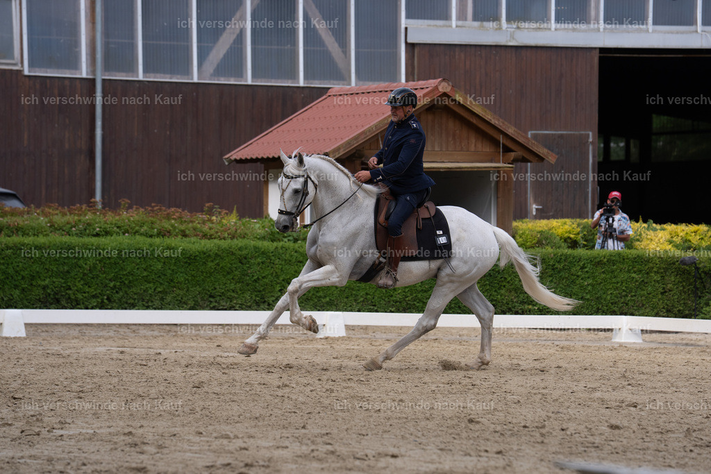 WS_DR_49_sinafilmart_IN00998 | working equitationturnier fotograf videograf stoibphotography marixx film working equitation deutschland reitsport turnierfotografie eventfotografie equestrian events